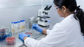 Microbiologist Working in Research Laboratory - Clinical Lab Stock Photo