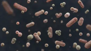 3D Medical Illustration of Bacterial Culture Showing Bacilli and Cocci Microbes