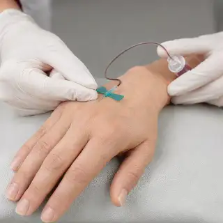 Medical Professional Performing Hand Venipuncture with Butterfly Needle Stock Photo