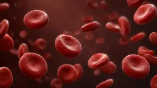 Ultra Realistic Red Blood Cells Flowing in Bloodstream Illustration