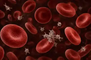 Platelet Aggregation and Clotting Process - 3D Medical Illustration