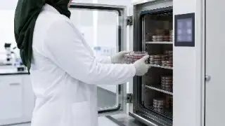 Female Scientist Loading Petri Dishes Into Laboratory Incubator Stock Photo