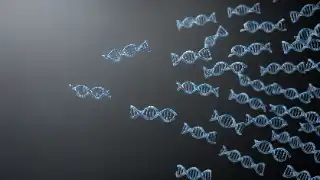 DNA Amplification Concept Featuring Multiple Double Helix Strands